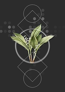 Vintage Lily of the Valley