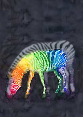 Zebra in rainbow colors