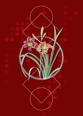 Vintage Orange Day Lily