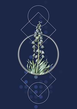 Vintage Persian Lily