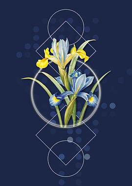 Vintage Spanish Iris