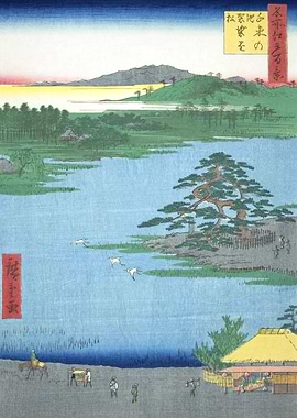 Pine Tree And Senzoku Pond