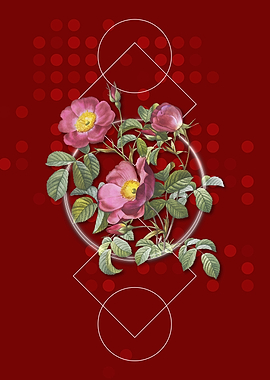 Vintage Rose of Love Bloom