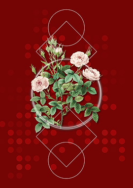 Vintage Pink Rose Flowers