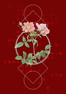 Vintage Lady Monson Rose