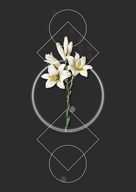 Vintage Madonna Lily Flora