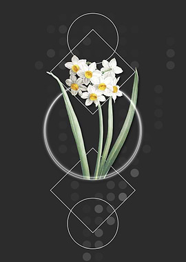 Narcissus Easter Flower