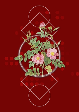 Vintage Pink Rosebush