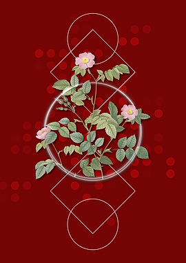 Vintage Sweetbriar Rose