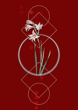 Vintage Painted Lady