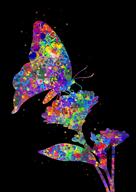 Flowers and butterfly