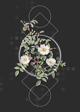 Vintage Reddish Rosebush