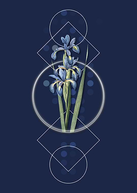 Vintage Blue Iris Flower