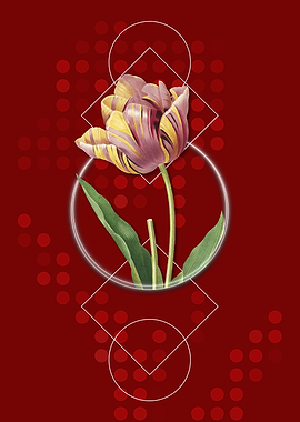 Vintage Tulip Flower
