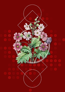 Vintage Chinese Primrose