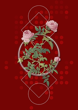 Vintage Rose of the Hedges