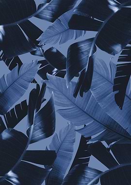 Banana Palm Jungle 3