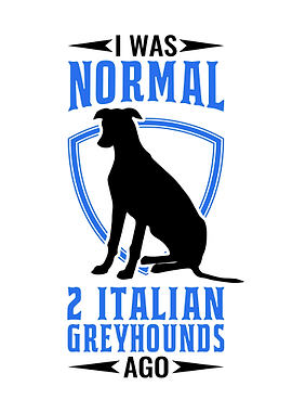 I Was Normal Italian