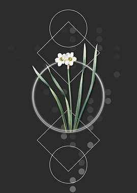 Vintage Primrose Peerless