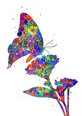 Butterfly and flower