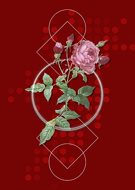 Vintage Provence Rose