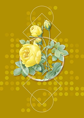Vintage Yellow Rose Flower