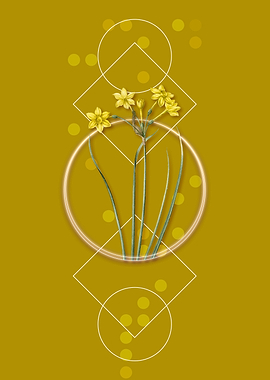 Vintage Rush Daffodil