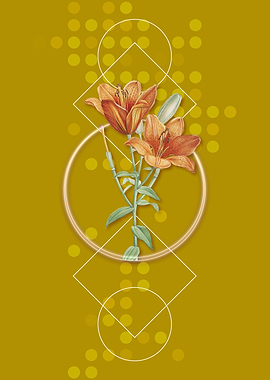 Orange Bulbous Lily Flower