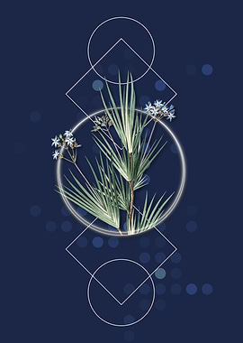 Vintage Blue Stars Flower