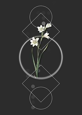 Vintage Painted Lady