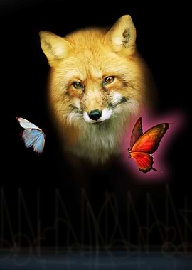Fox and Butterfly