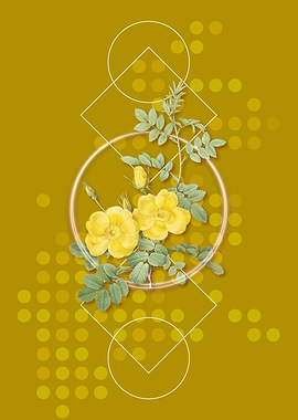 Yellow Sweetbriar Roses