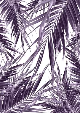 Palm Leaves Jungle Cali 4