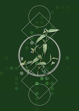 Vintage Tagblume Flower