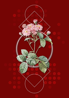 Vintage Pink Rosebush