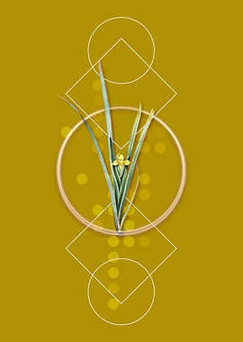 Vintage Yellow Iris Flower