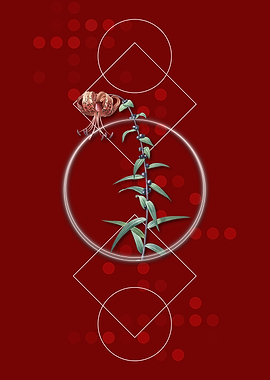 Vintage Tiger Lily Flower