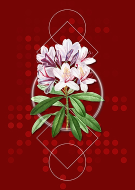 Common Rhododendron Flower