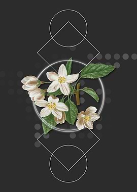 Vintage Crabapple Flower