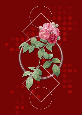 Vintage Seven Sisters Rose