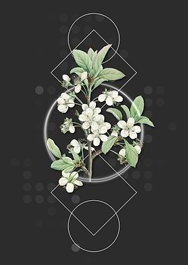 Vintage White Plum Flower