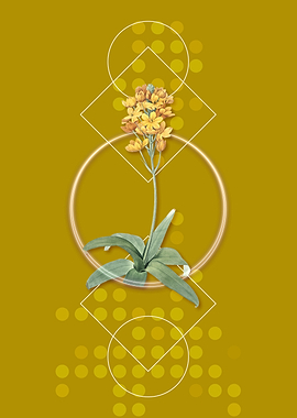 Vintage Sun Star Flower