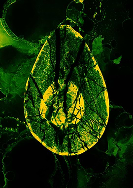 Avocado art