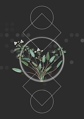 Vintage Starfruit Flower