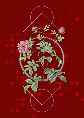 Vintage Cinnamon Rose