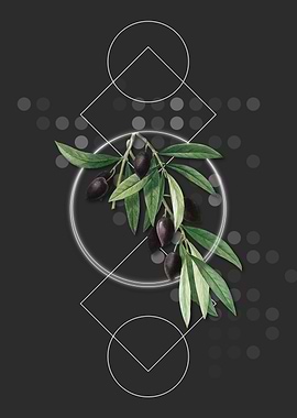 Vintage Olive Tree Branch