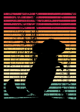 Retro Chinchilla Vintage