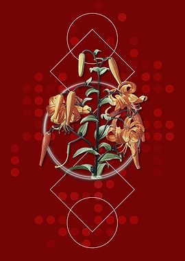 Vintage Tiger Lily Flower