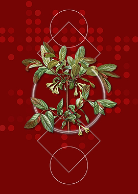 Blooming Honeyberry Flower