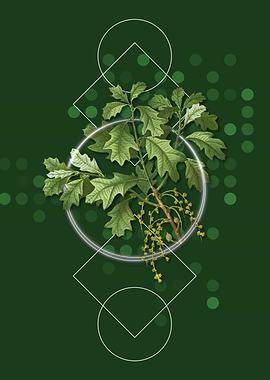 Geometric Bear Oak Floral